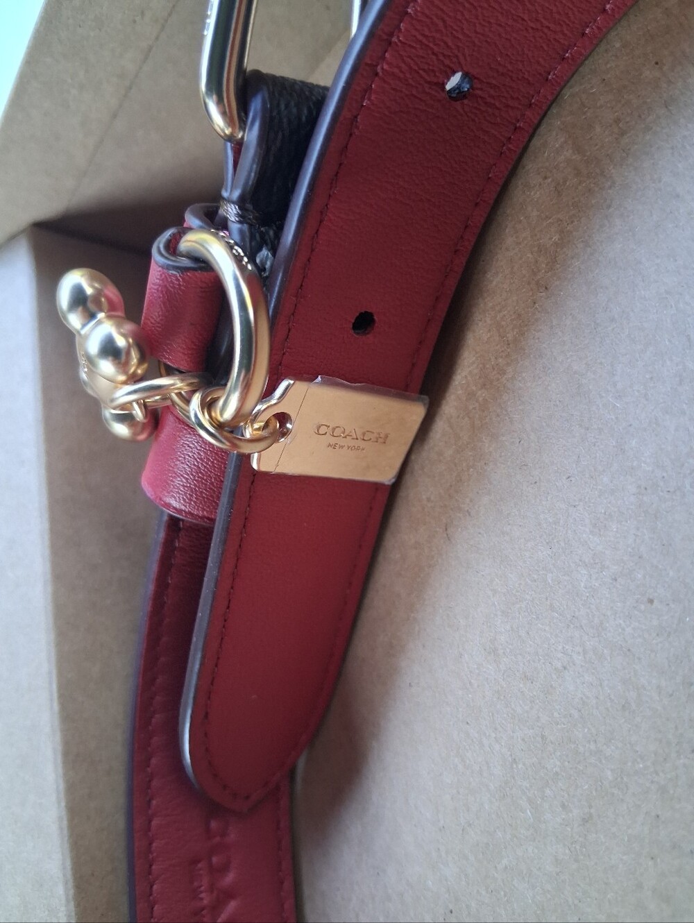 Coach Dog Collar - Picture 5 of 16